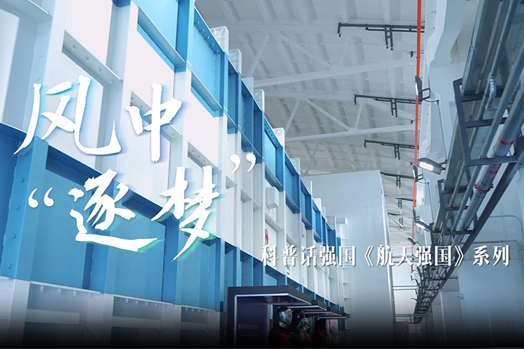 Ԓ(qing)(gu)쏊(qing)(gu)ϵСL(fng)С(mng)